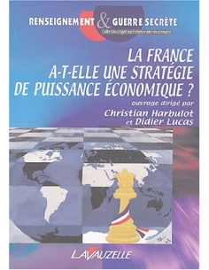 La France a-t-elle une stratégie de puissance économique ?