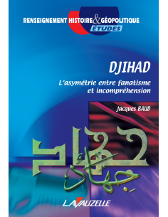 Djihad - L'asymétrie entre fanatisme et incompréhension
