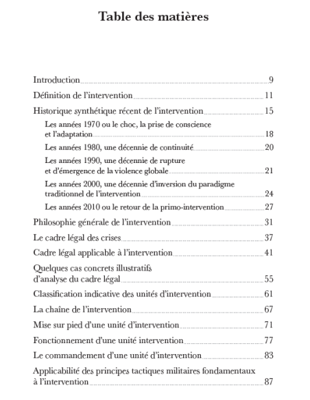 Esprit de décision. Approche militaire de l'intervention professionnelle et spécialisée