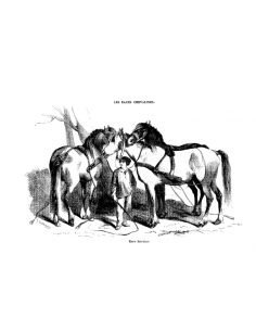 Gravure 7 - Race Lorraine