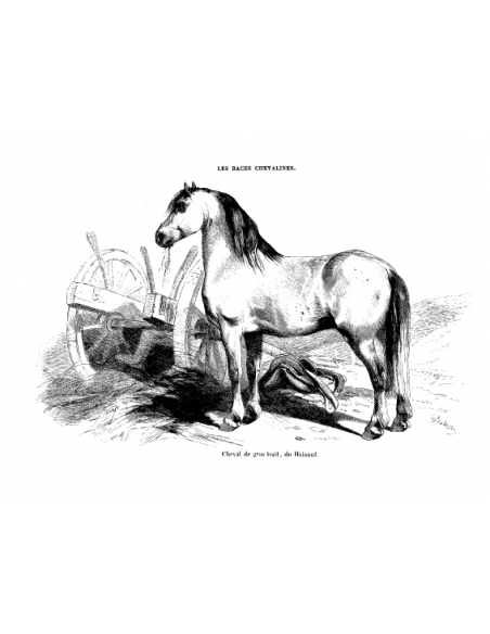Gravure 14 - Cheval de gros trait