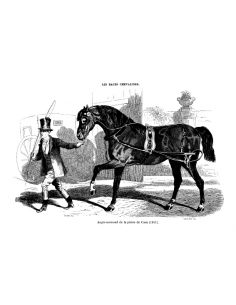 Gravure 17 - Anglo-Normand