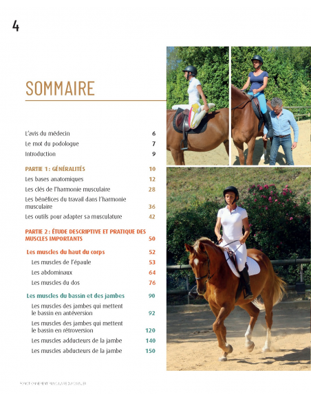 Sommaire Fonctionnement Musculaire du Cavalier