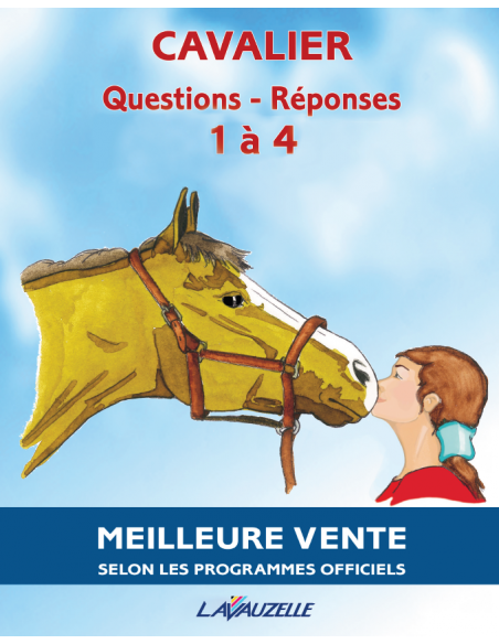 Partie de la tête du cheval Galop 3