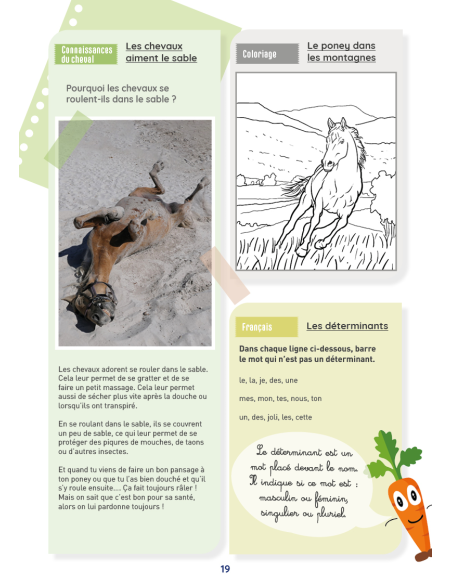 Mon Cahier d'activités sur le thème du cheval - Niveau CE1