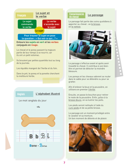 Mon Cahier d'activités sur le thème du cheval - Niveau CM1