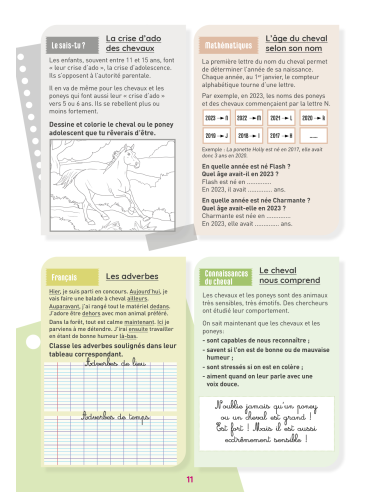 Mon Cahier d'activités sur le thème du cheval - Niveau CM1