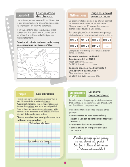 Mon Cahier d'activités sur le thème du cheval - Niveau CM1