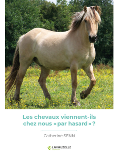 Les chevaux viennent-ils chez nous « par hasard » ?
