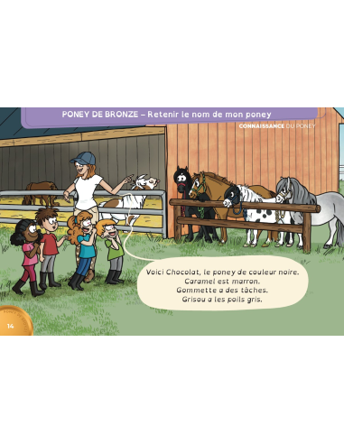 En selle vers les poneys de bronze, d'argent et d'or