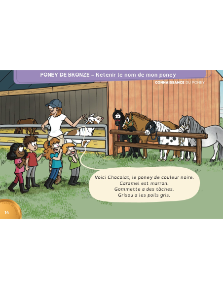 En selle vers les poneys de bronze, d'argent et d'or