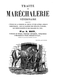 Traité maréchalerie vétérinaire - Tome 1 2