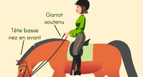 Réaliser une extension d'encolure correcte 